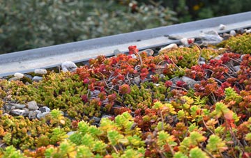 the cost of Pismire Hill green roof installation