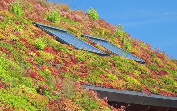 Pismire Hill living roof systems