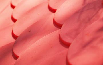 Pismire Hill plastic roof costs