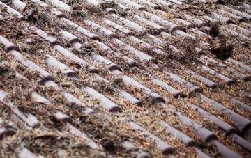 Pismire Hill roof cleaning companies