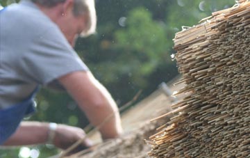 professional Pismire Hill thatchers